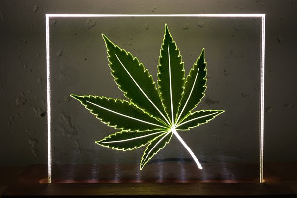 Cannabis leaf light impression lamp