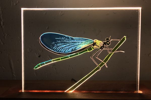 Dragonfly light impression lamp
