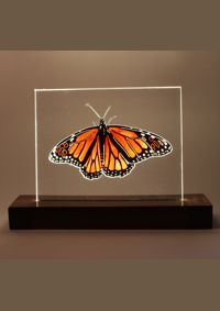 light impression collection engraved acrylic
